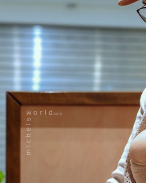 Mystery Girl Michels World