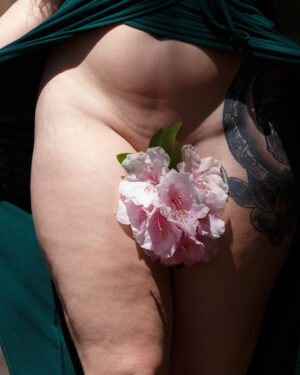 Piper Gunnison American Roadways Zishy