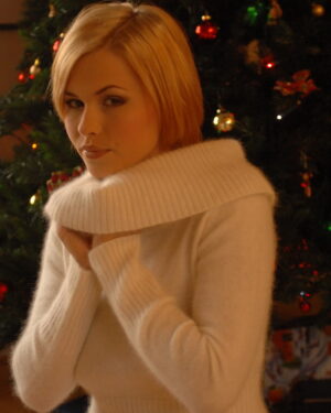 Iga Christmas Cheer