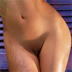 Gia LaShay Classic Curves